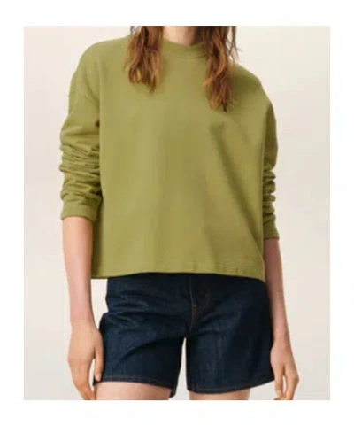 Ami Alexandre Mattiussi Ami Paris Ami Paris De Coeur Matcha Sweatshirt In Green