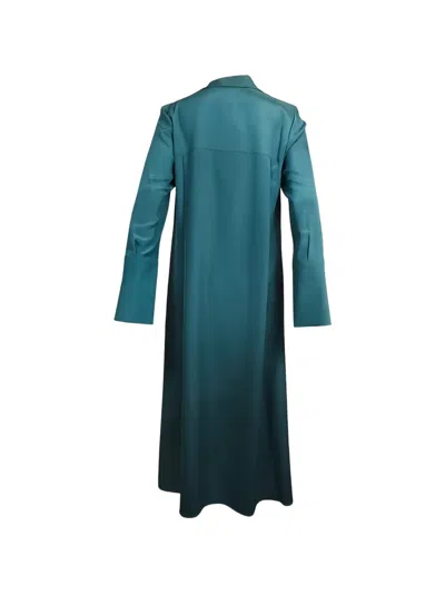 Max Mara Flared Dress In Blue