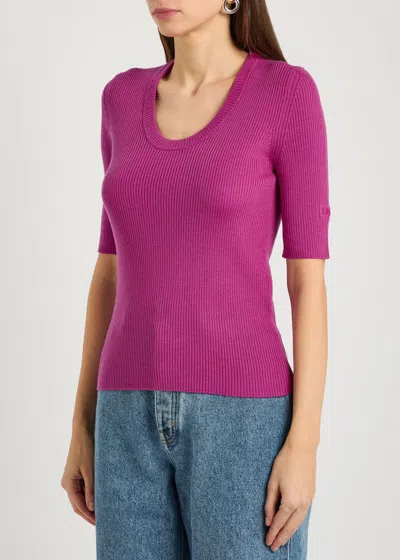 Chloé Chloe Logo-embroidered Ribbed Wool Top In Pink