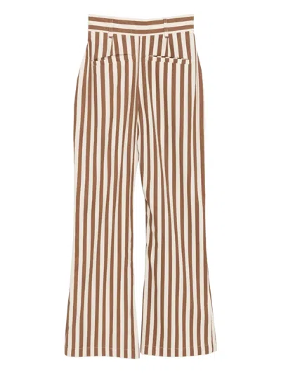 Bambah Amazon Pants In Brown