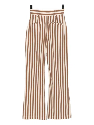 Bambah Amazon Pants In Brown