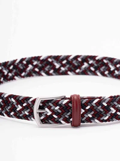 Anderson's Elastic Woven Belt In Multi