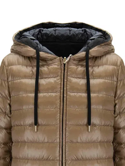 Herno Down Jacket In Multi