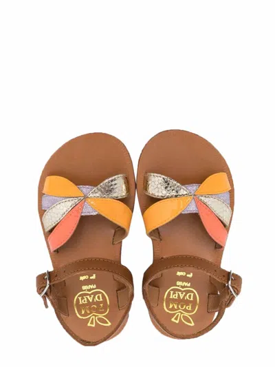 Pom D'api Rainbow Sandals In Brown