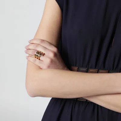 Panconesi Spiral Ring In Gold And Silver Tone In Brown