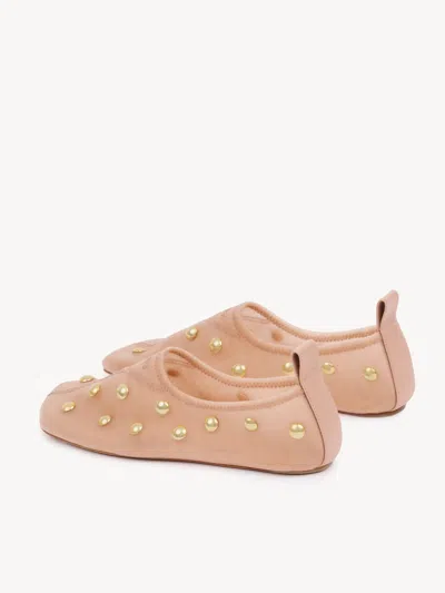 Chloé Rita Blushy Beige Ballet Flats In Transparent Mesh Women In Neutral