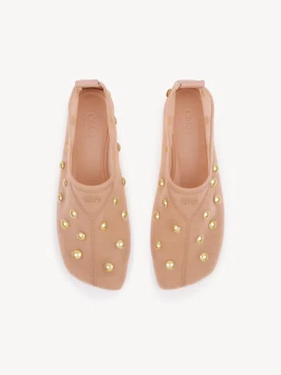 Chloé Rita Blushy Beige Ballet Flats In Transparent Mesh Women In Neutral