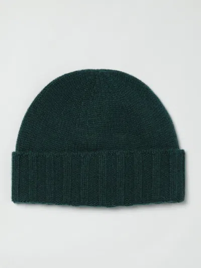 Drumohr Turn-up Cashmere Beanie In Green