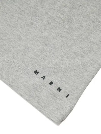 Marni Kids Dinosaur Print T-shirt In Gray