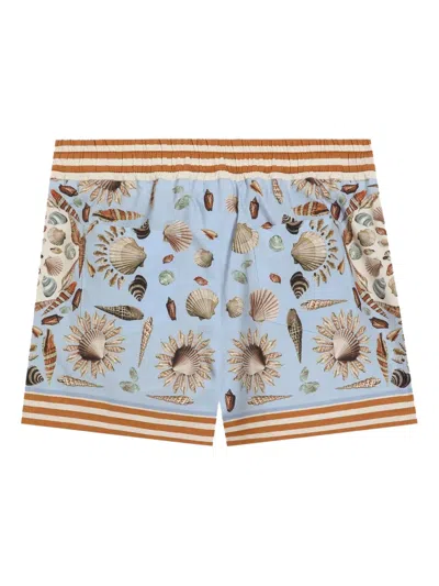 Dolce & Gabbana Shell-print Drawstring Shorts In Blue