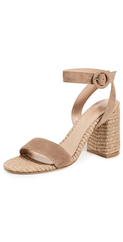 Gianvito Rossi Luana 45 Suede And Raffia Heeled Sandals In Brown