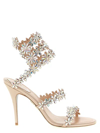 René Caovilla Flat Sandal Rene Caovilla Woman Color Pink In Multi