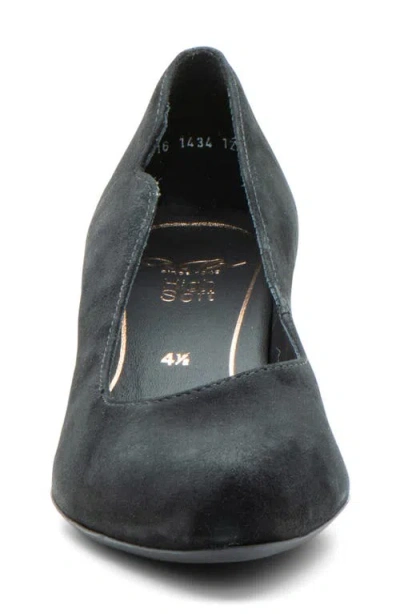 Ara Kat Kitten Heel Pump In Black
