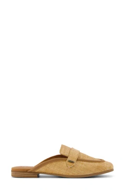 Toms Lynette Mule In Brown