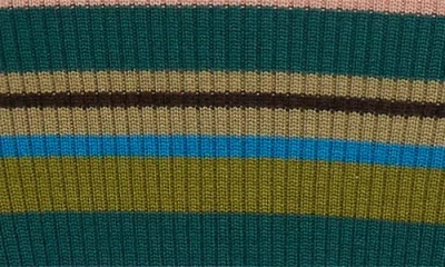 Acne Studios Stripe Rib Wool Turtleneck Sweater In Multi