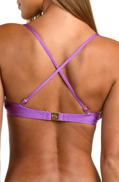 Sunshine 79 Solid Underwire Bra Top In Purple