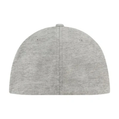 Element Tree Flex Fit Hat In Gray