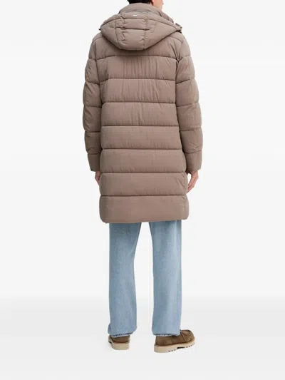 Joop Winsten Padded Jacket In Brown