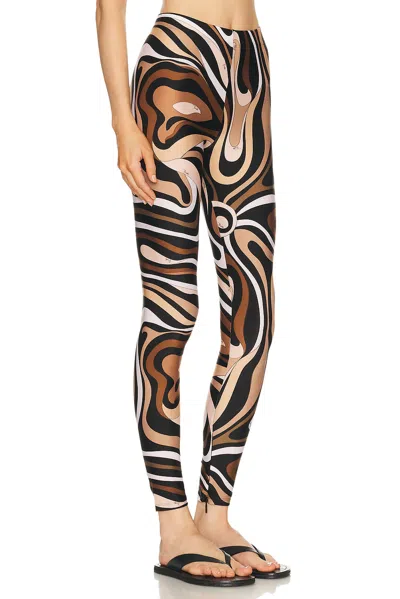Pucci Legging In Brown