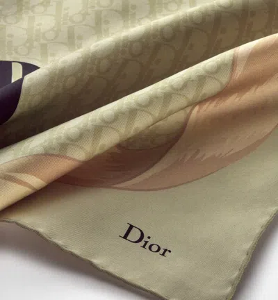 Dior Printed Square Scarf In Brown