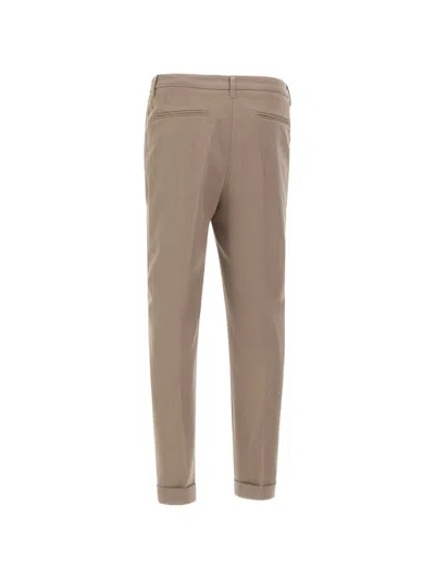 Devore Pleated Trousers In Neutral