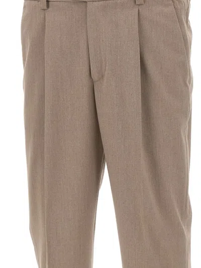 Devore Pleated Trousers In Neutral