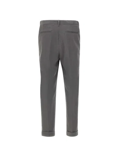Devore Pleated Trousers In Gray