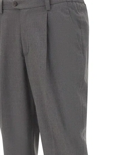 Devore Pleated Trousers In Gray