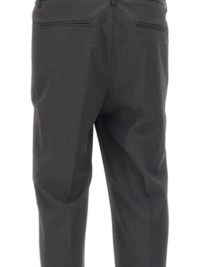 Devore Pleated Trousers In Gray