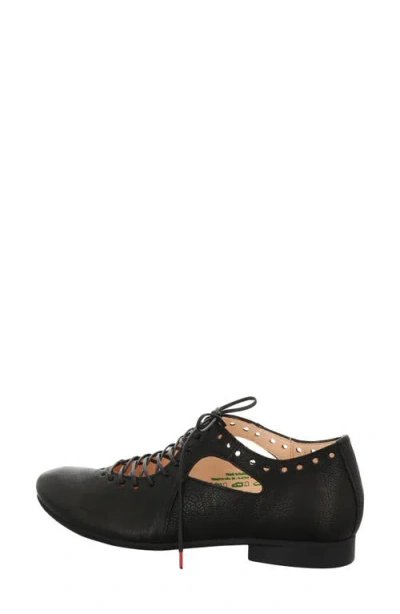 Think ! Guad Lace-up Flat In Black