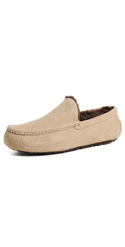Ugg Ascot In Brown