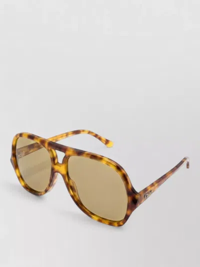 Chloé Women Ch0289s Sunglasses