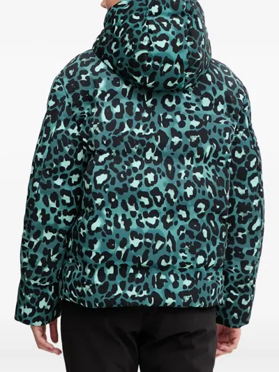 Ea7 Hooded Leopard-print Jacket In Blue