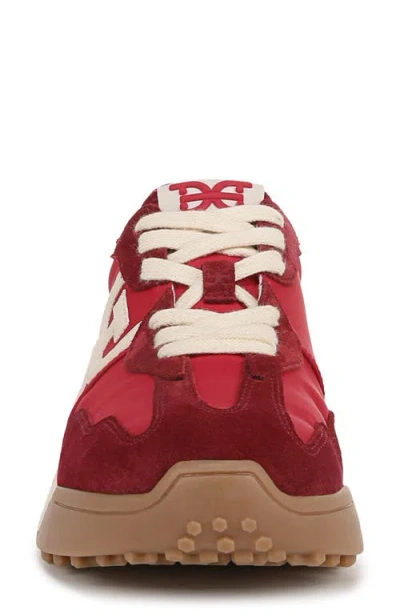 Sam Edelman Langley Sneaker In Multi