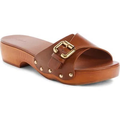 Chloé Jeannette Leather Buckle Clog Sandals In Brown