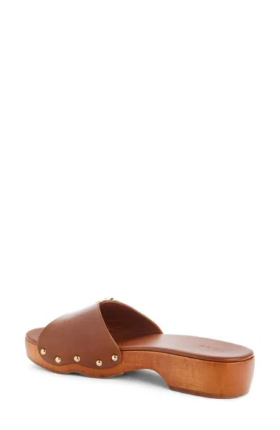 Chloé Jeannette Leather Buckle Clog Sandals In Brown
