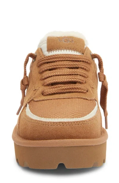 Ugg Sungazer Platform Sneaker In Brown
