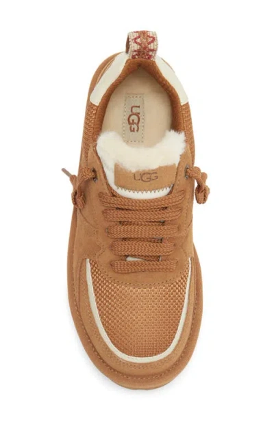 Ugg Sungazer Platform Sneaker In Brown