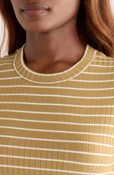 Rag & Bone Luca Stripe Rib Baby T-shirt In Brown