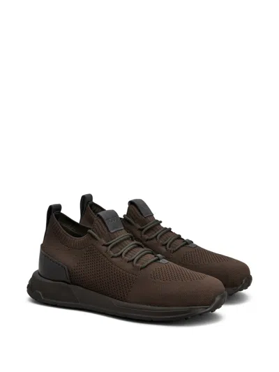 Tod's Low-top Lace-up Sneakers In Brown