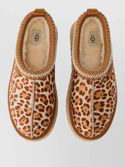Ugg Tazz Plains Slippers Felicity Leopard Jasmine In Multi