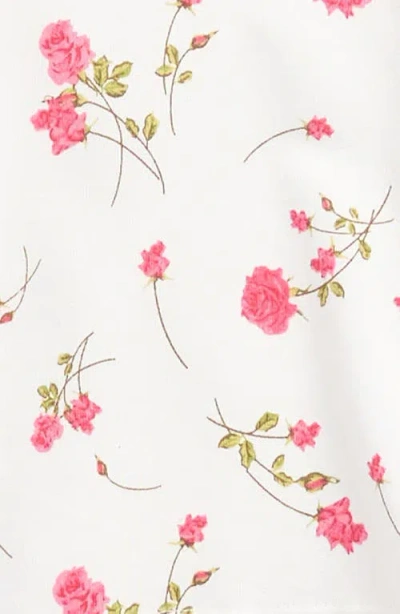 Splendid Camellia Rose Pullover & Leggings Set In Multi