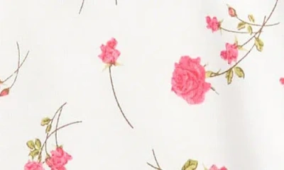 Splendid Camellia Rose Pullover & Leggings Set In Multi