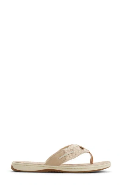 Sperry Parrotfish Braid In White