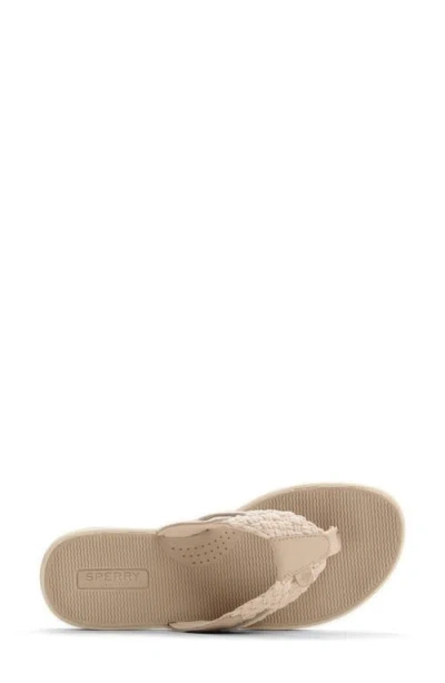 Sperry Parrotfish Braid In White