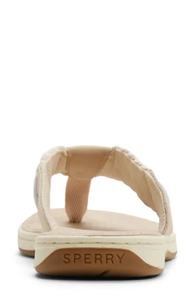 Sperry Parrotfish Braid In White