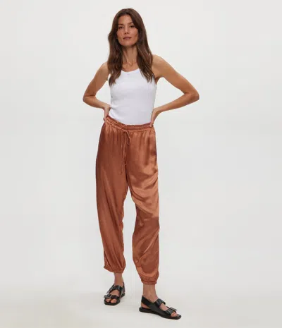 Michael Stars Pixie Jogger Pants In Terra In Brown