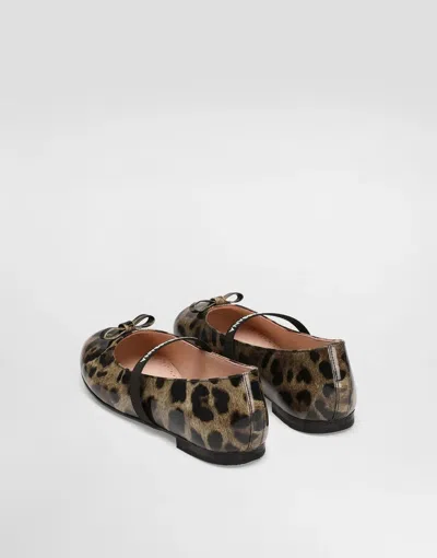 Dolce & Gabbana Leopard-print Bow Ballerinas In Animal Print