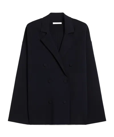 Max Mara Knit Double-breasted Blazer In Blue