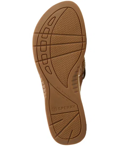 Sperry Parrotfish Sandal In Brown